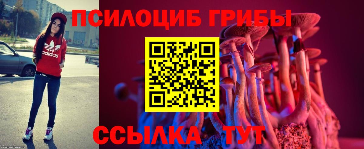 Галлюциногенные грибы GOLDEN TEACHER Михайловск