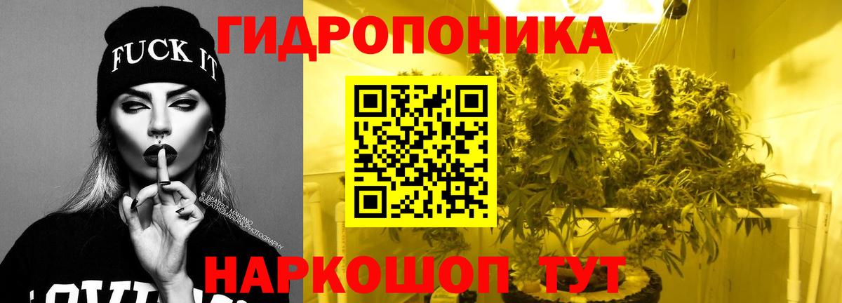 Каннабис план Михайловск